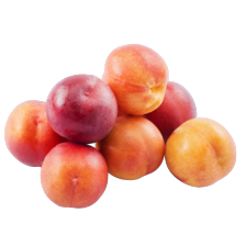 Nectarines